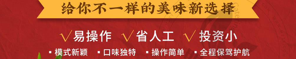 胖妍卤肉饭加盟