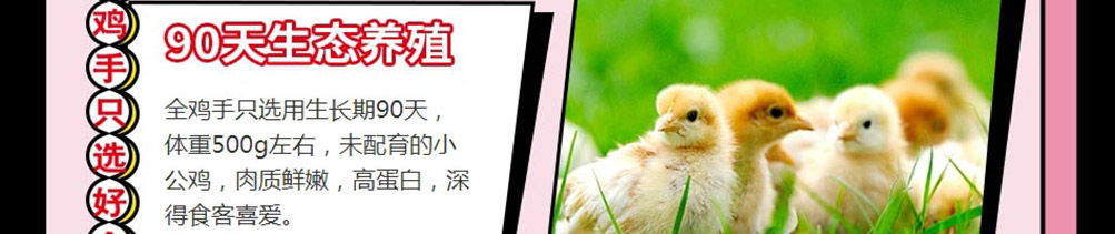 全鸡手炸鸡加盟