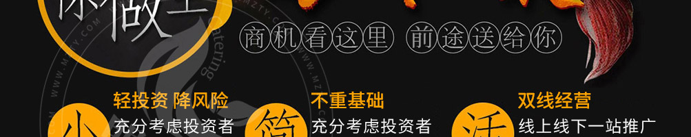 泉味祯黄焖鸡加盟