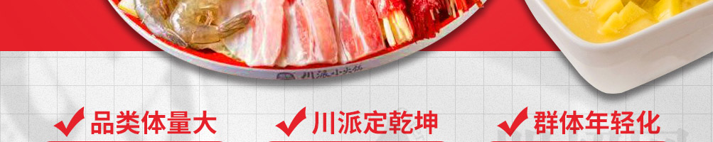 启袁小火锅加盟