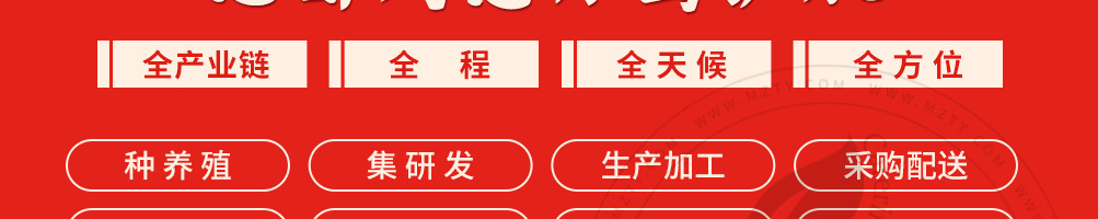 孙大力麻辣烫加盟