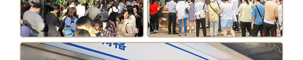 树洞熊加盟