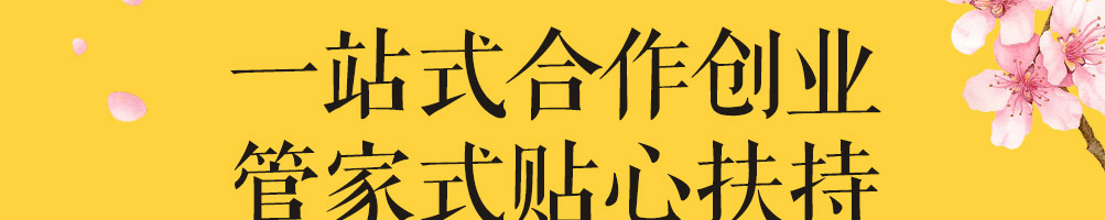 拾光清浅糕点加盟