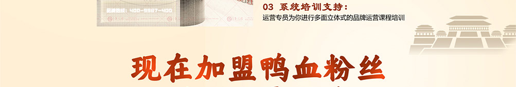 舌尖金陵鸭血粉丝加盟