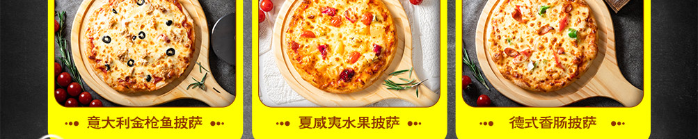 萨里奇披萨加盟