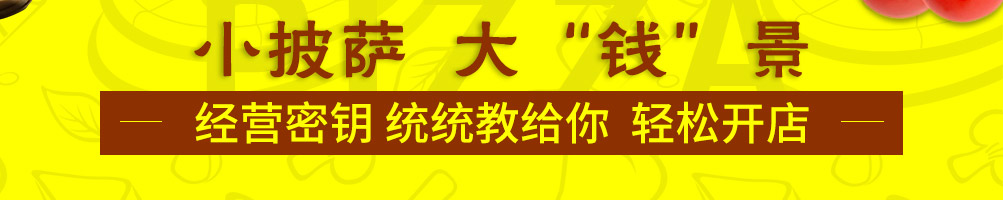 萨里奇披萨加盟