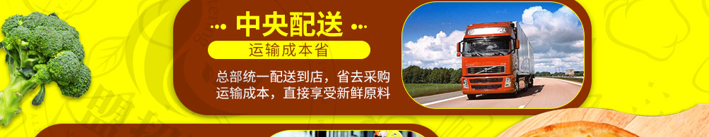 萨里奇披萨加盟