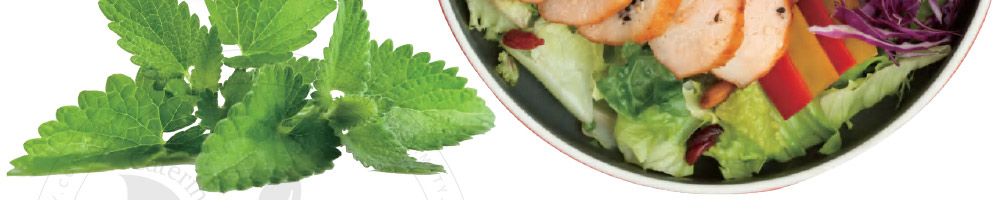 适绿轻食加盟