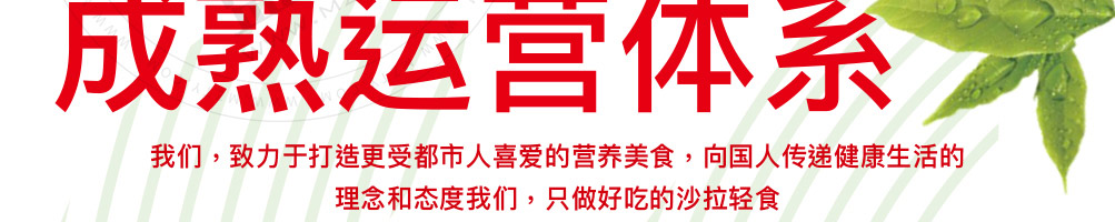 适绿轻食加盟