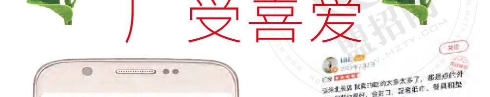 适绿轻食加盟