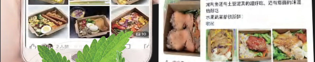 适绿轻食加盟