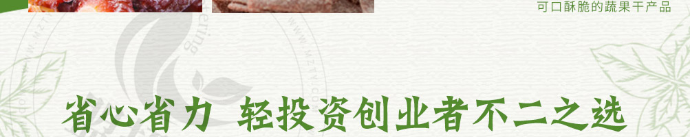 蔬婆婆蔬菜水果干加盟