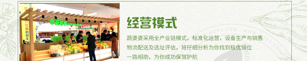 蔬婆婆蔬菜水果干加盟