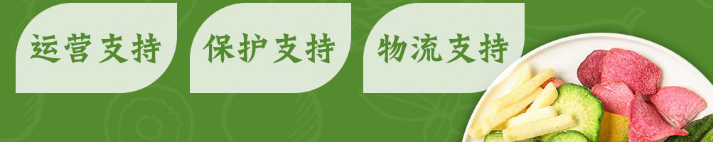 蔬婆婆蔬菜水果干加盟