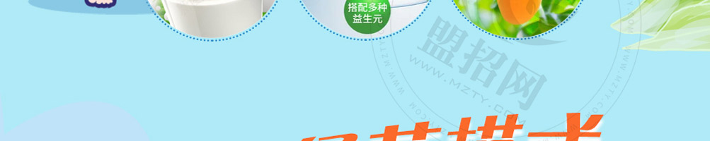 淘淘有料酸奶果饮加盟