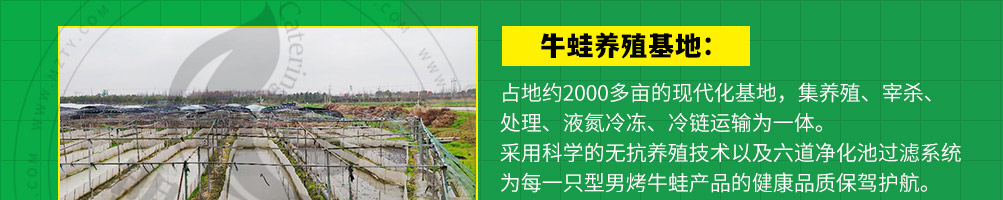 型男美蛙烤牛蛙加盟