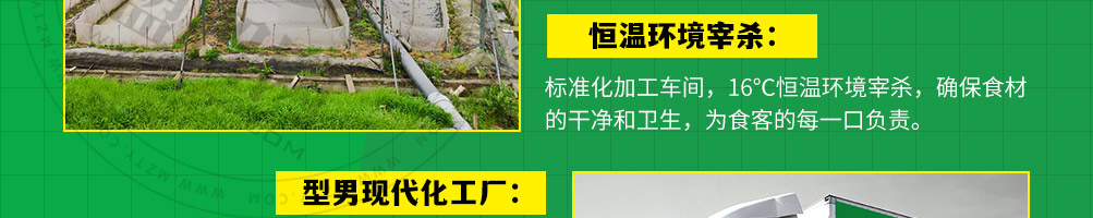 型男美蛙烤牛蛙加盟