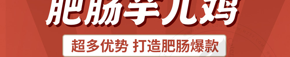 薛太保肥肠芋儿鸡加盟