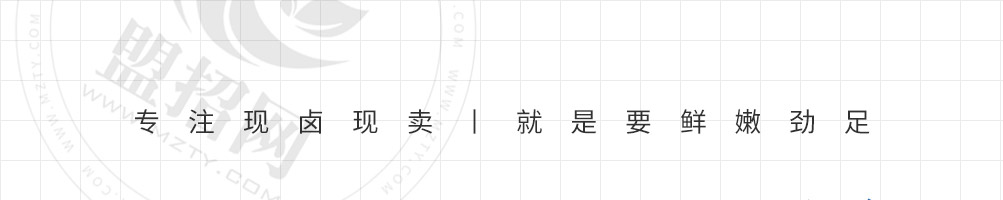 新鸭记鸭头加盟
