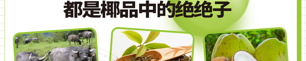 椰田湾椰子冻奶茶加盟