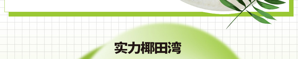 椰田湾椰子冻奶茶加盟