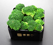 壹食一小焖锅加盟