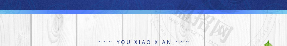优小鲜海鲜炒饭加盟